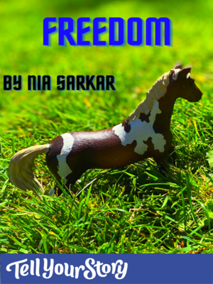 cover image of Freedom